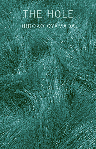 the hole book cover