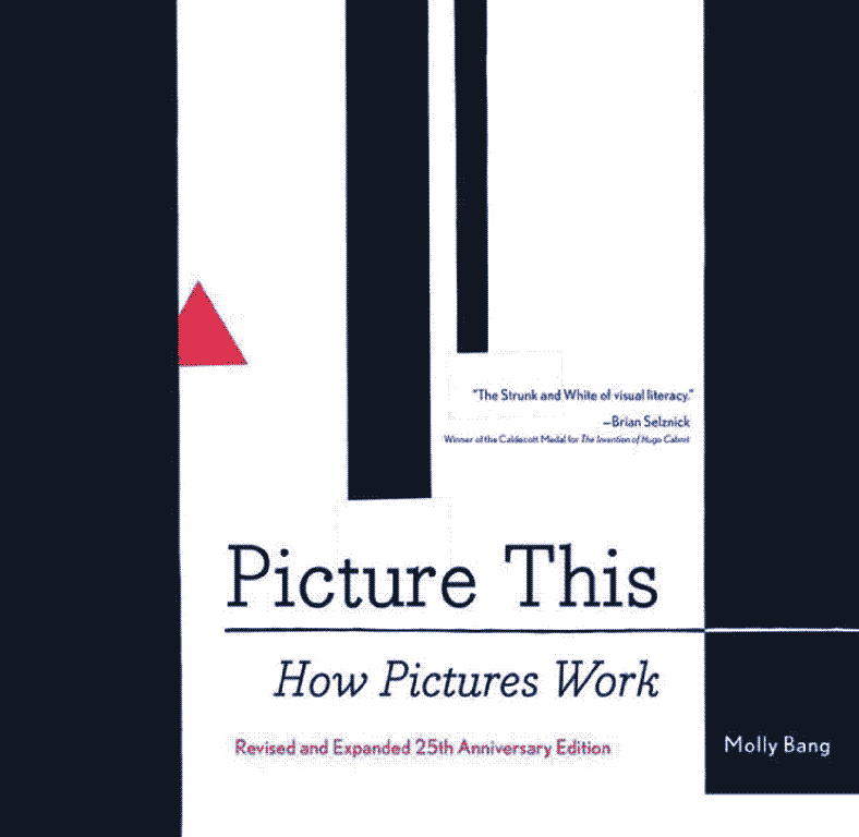 how pictures work book cover
